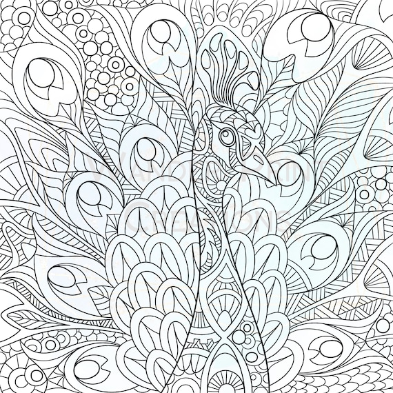 Peacock adult coloring sheet