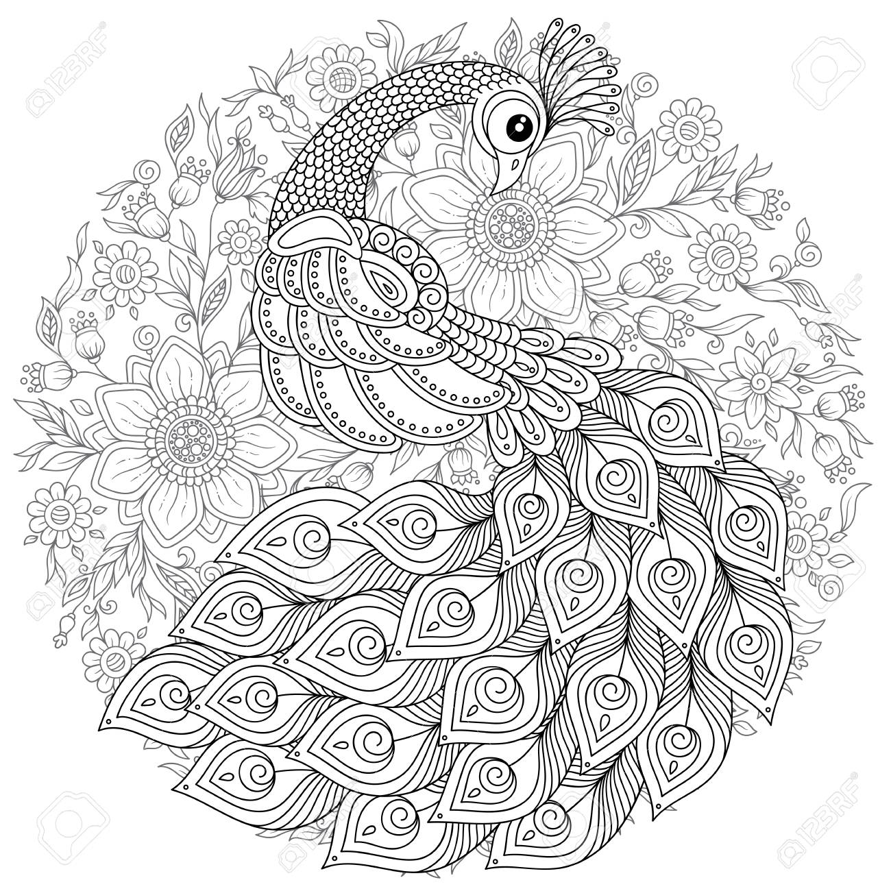 Peacock in style adult antistress coloring page black and white hand drawn doodle for coloring book royalty free svg cliparts vectors and stock illustration image