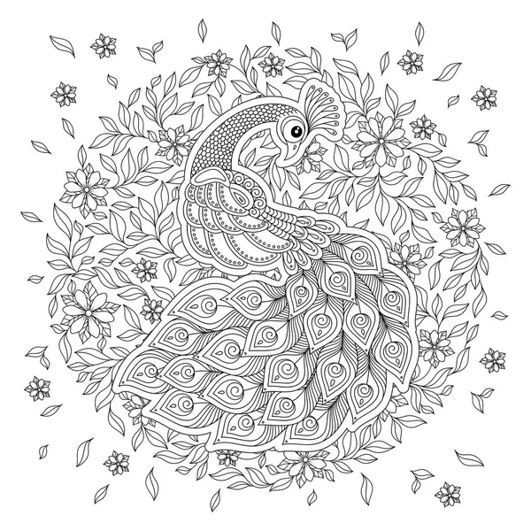 Peacock adult antistress coloring page black white hand drawn doodle stock vector by karpenyuk