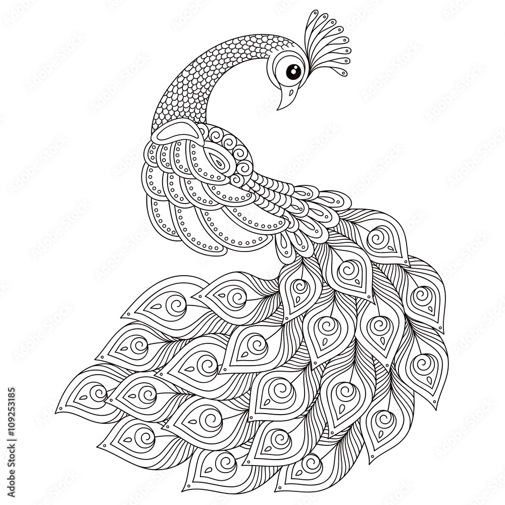 Peacock adult antistress coloring page vector