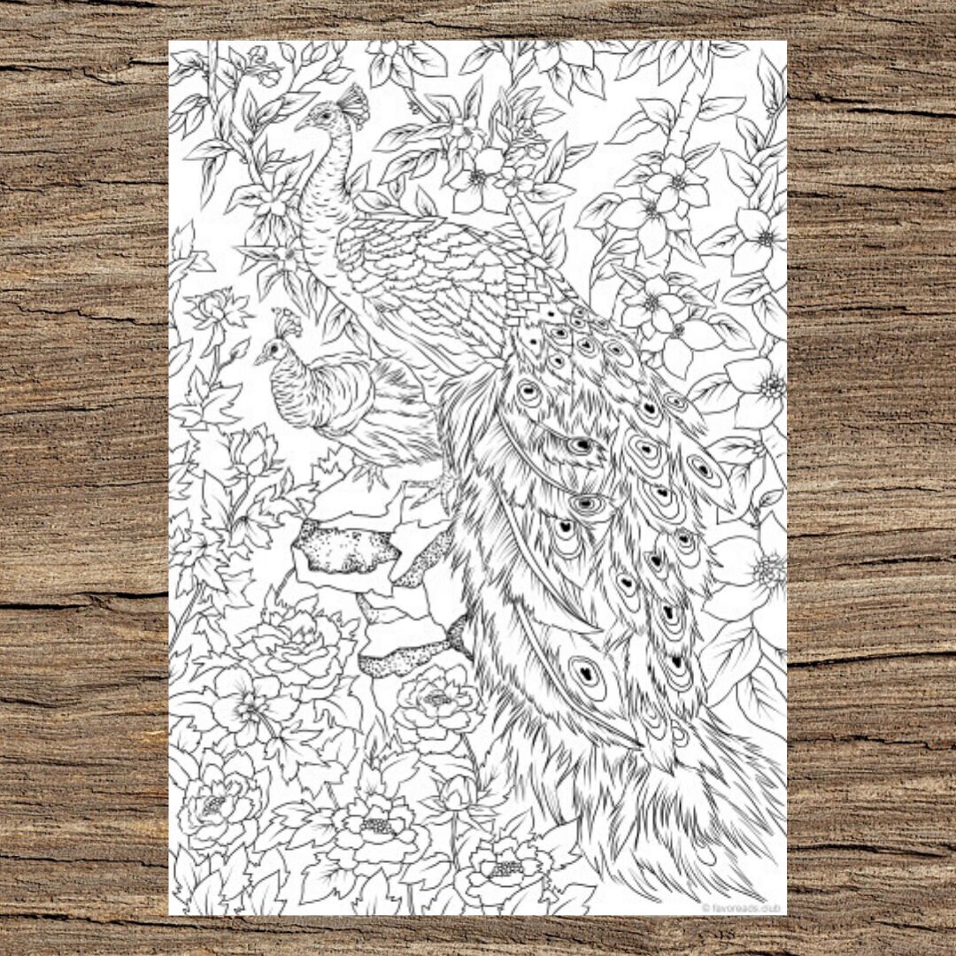 Peacocks printable adult coloring page from favoreads coloring book pages for adults and kids coloring sheets coloring designs