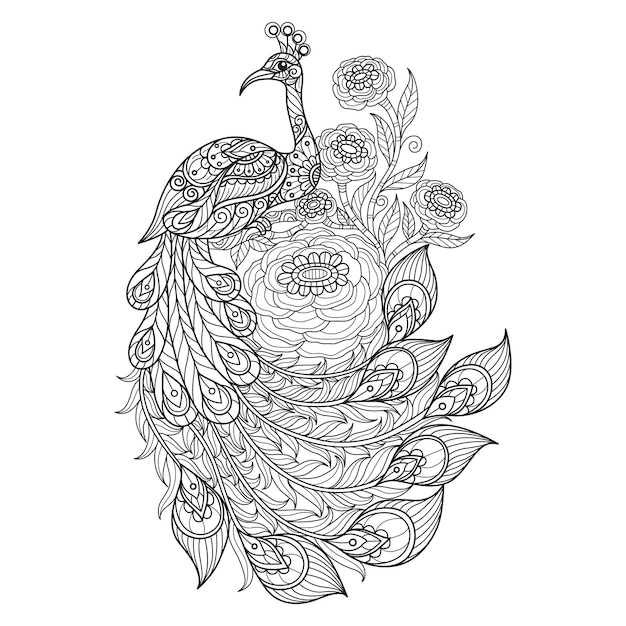 Premium vector peacock and flowers hand drawn for adult coloring book