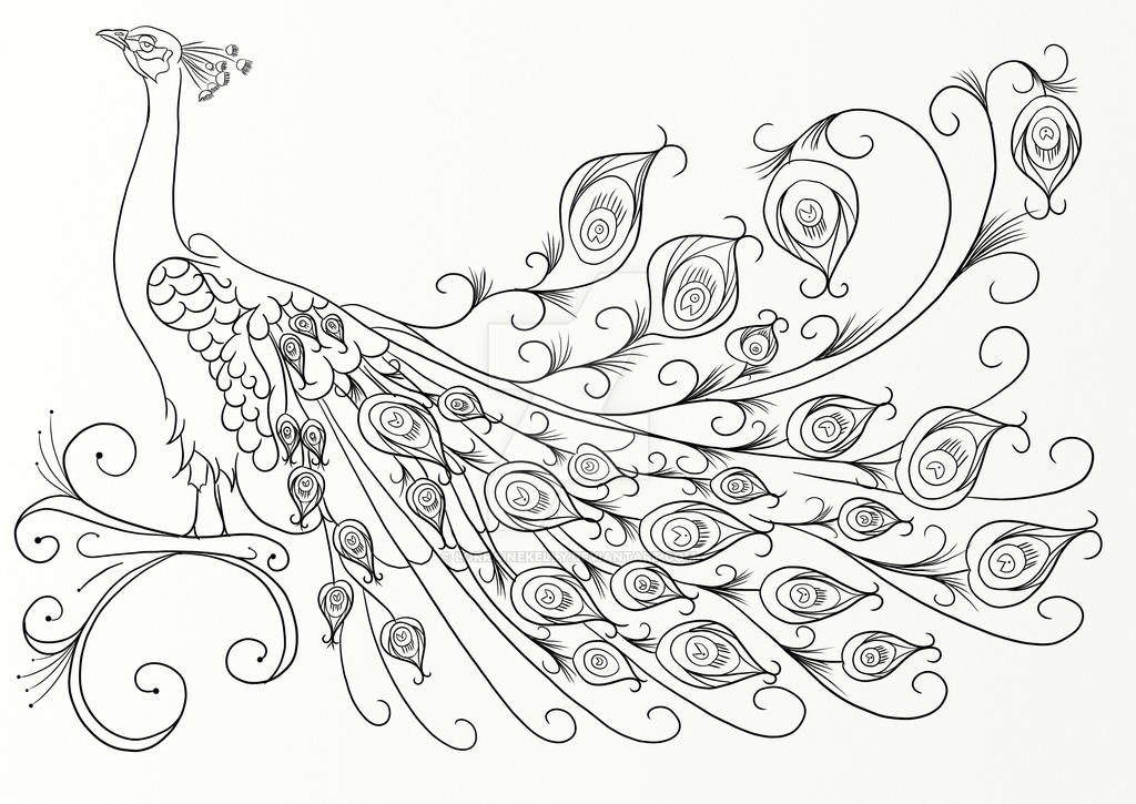 Peacock coloring page by lorrainekelly on