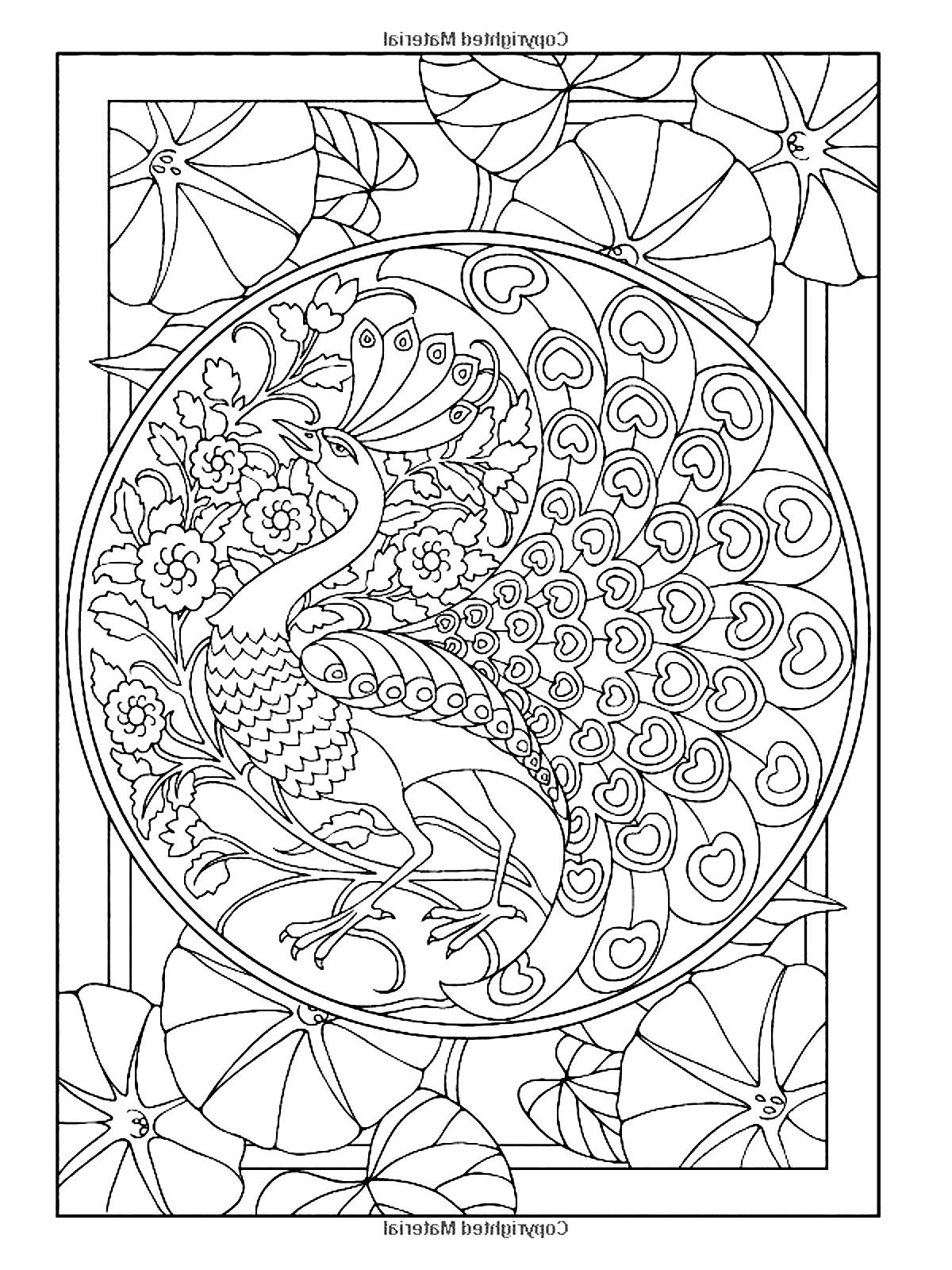 Art nouveau peacock design