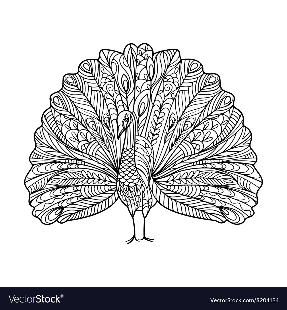 Peacock bird coloring book for adults royalty free vector