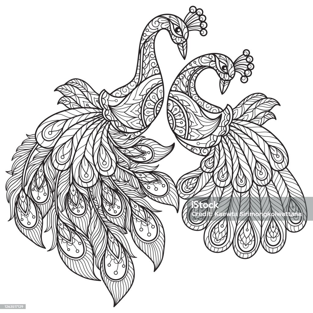 Doodle peacock lovers tangles adult coloring page illustration style stock illustration