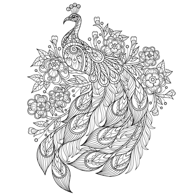 Premium vector peacock and flowers hand drawn for adult coloring book