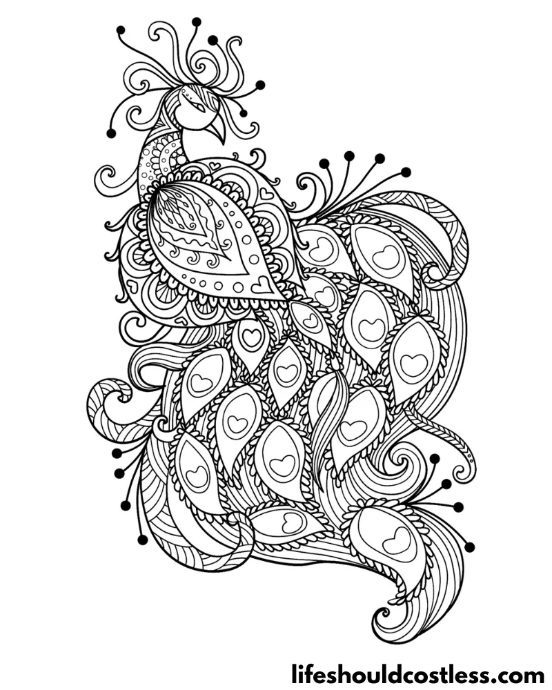 Peacock coloring pages free printable pdf templates