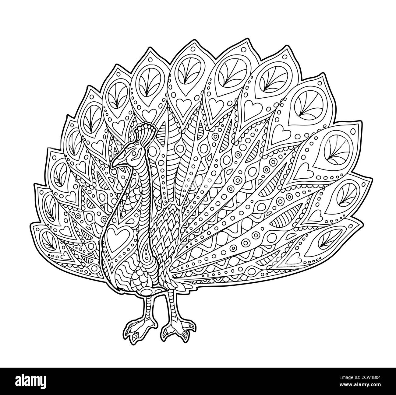 Beautiful adult coloring book page with funny cartoon peacock on white background stock vector image art