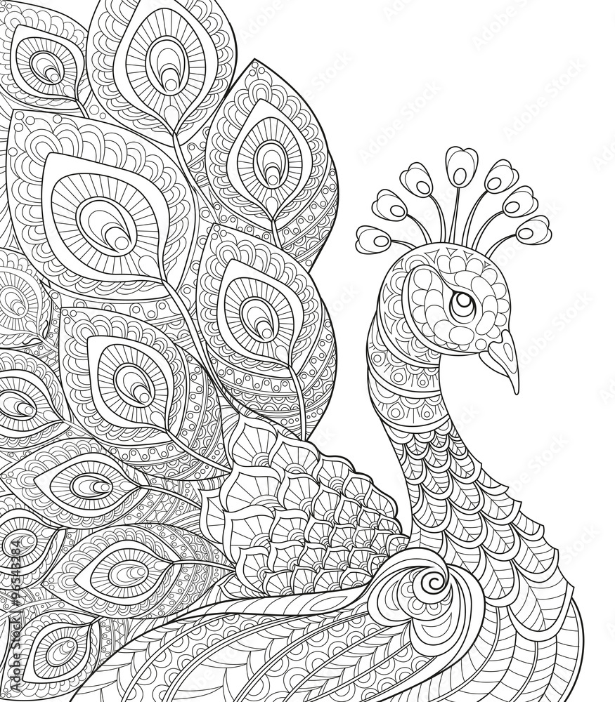 Peacock adult antistress coloring page black and white hand drawn doodle for coloring book vector