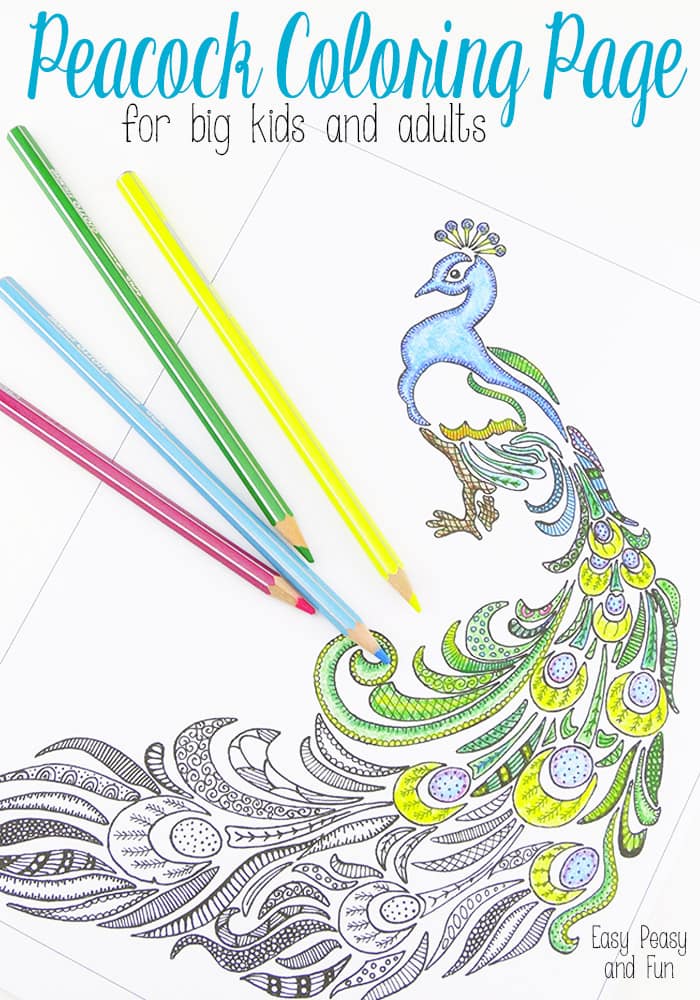 Peacock coloring page for adults