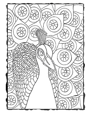 Downloadable coloring page peacock covered in eyeballs â dark whimsical art