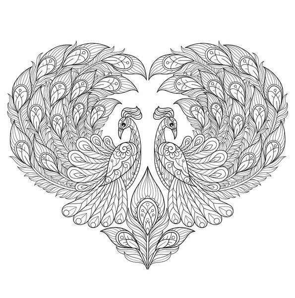 Adult coloring pages peacock feathers images stock photos d objects vectors