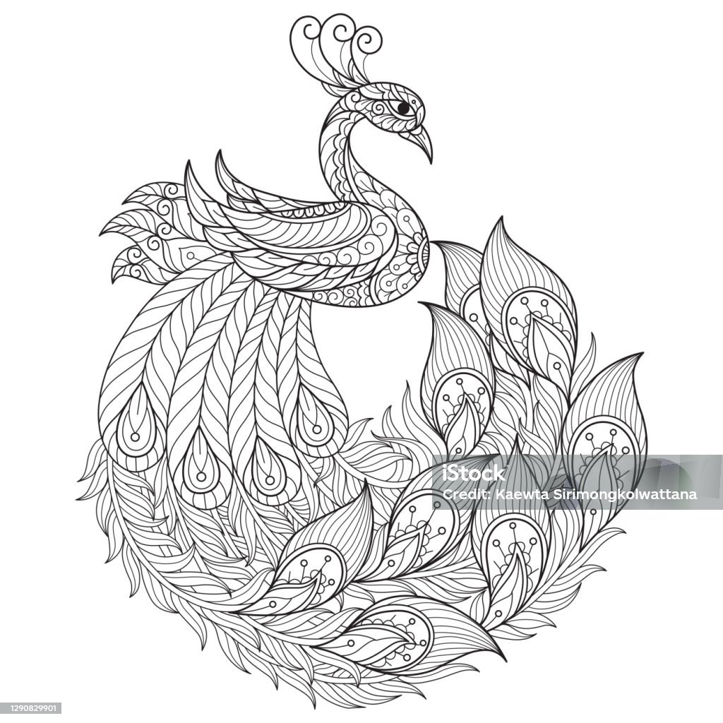 Doodle beautiful peacock s adult coloring page illustration style stock illustration