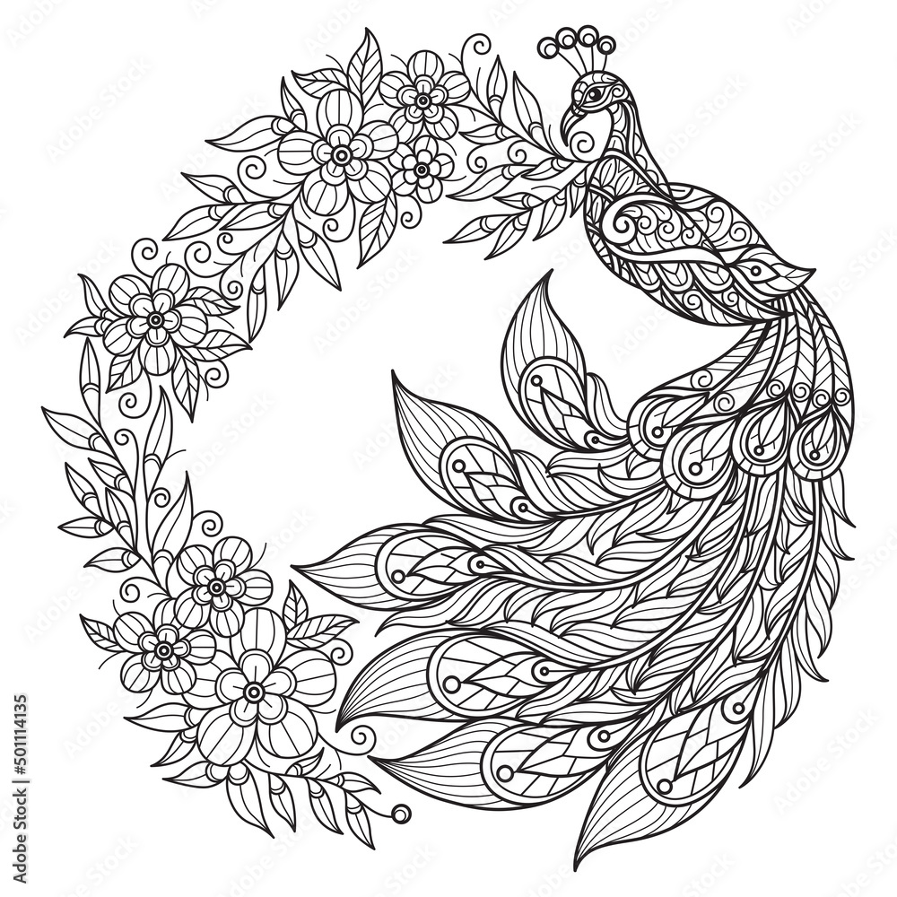 Peacock and wreath of flowers hand drawn for adult coloring book vector