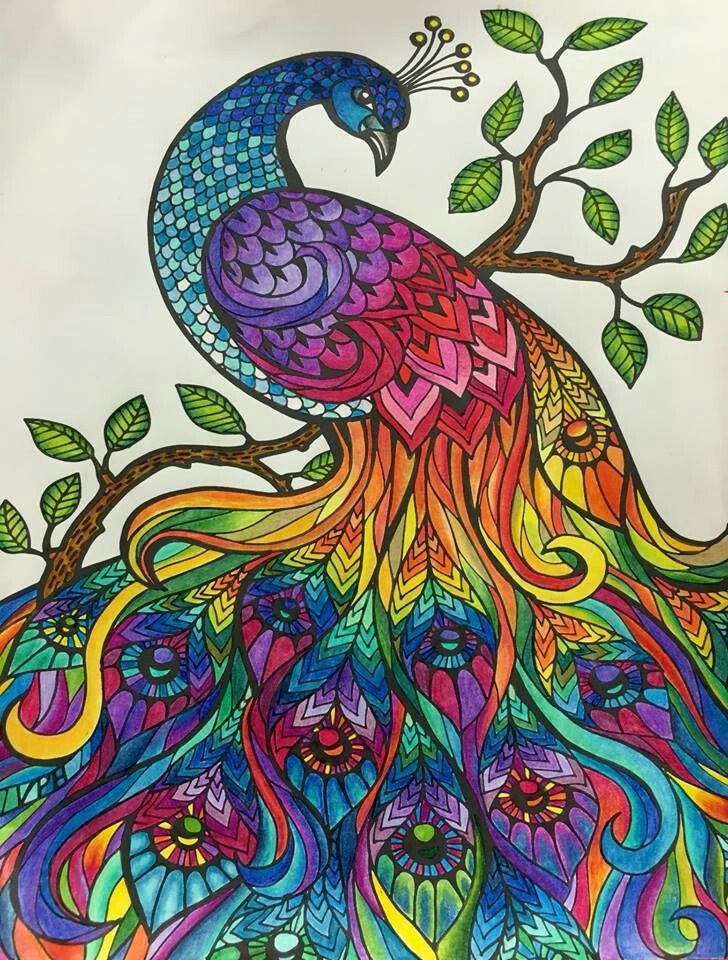 Adult colouring