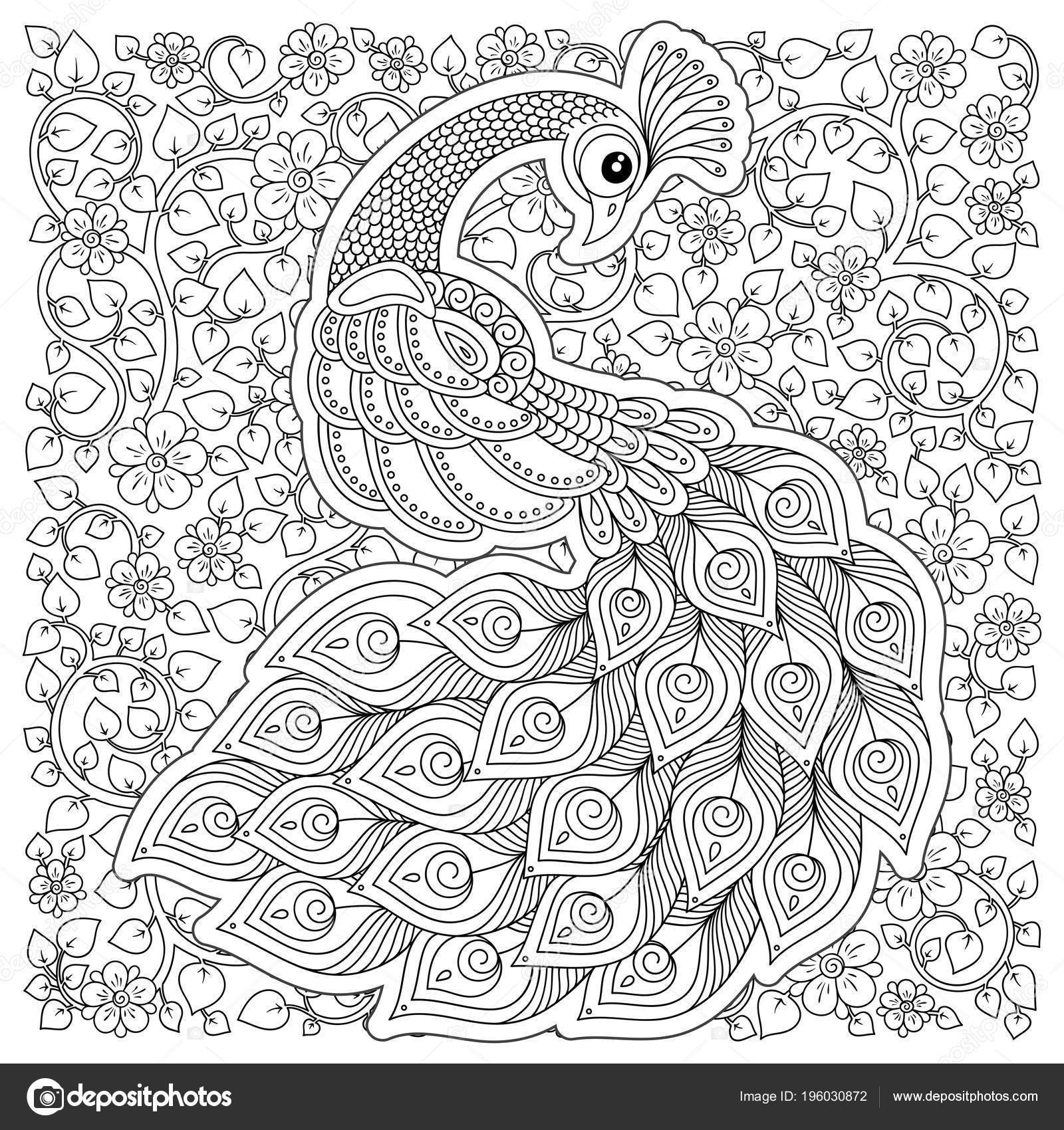 Peacock adult antistress coloring page black white hand drawn doodle stock vector by karpenyuk
