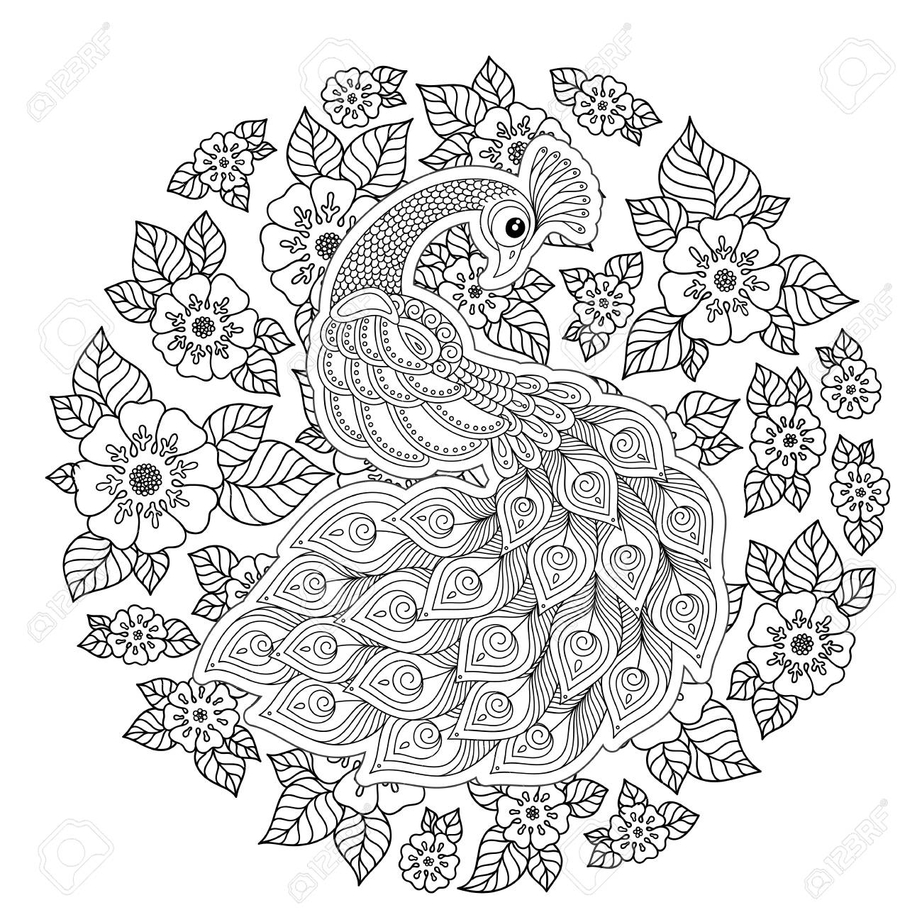 Peacock adult antistress coloring page black and white hand drawn doodle for coloring book royalty free svg cliparts vectors and stock illustration image