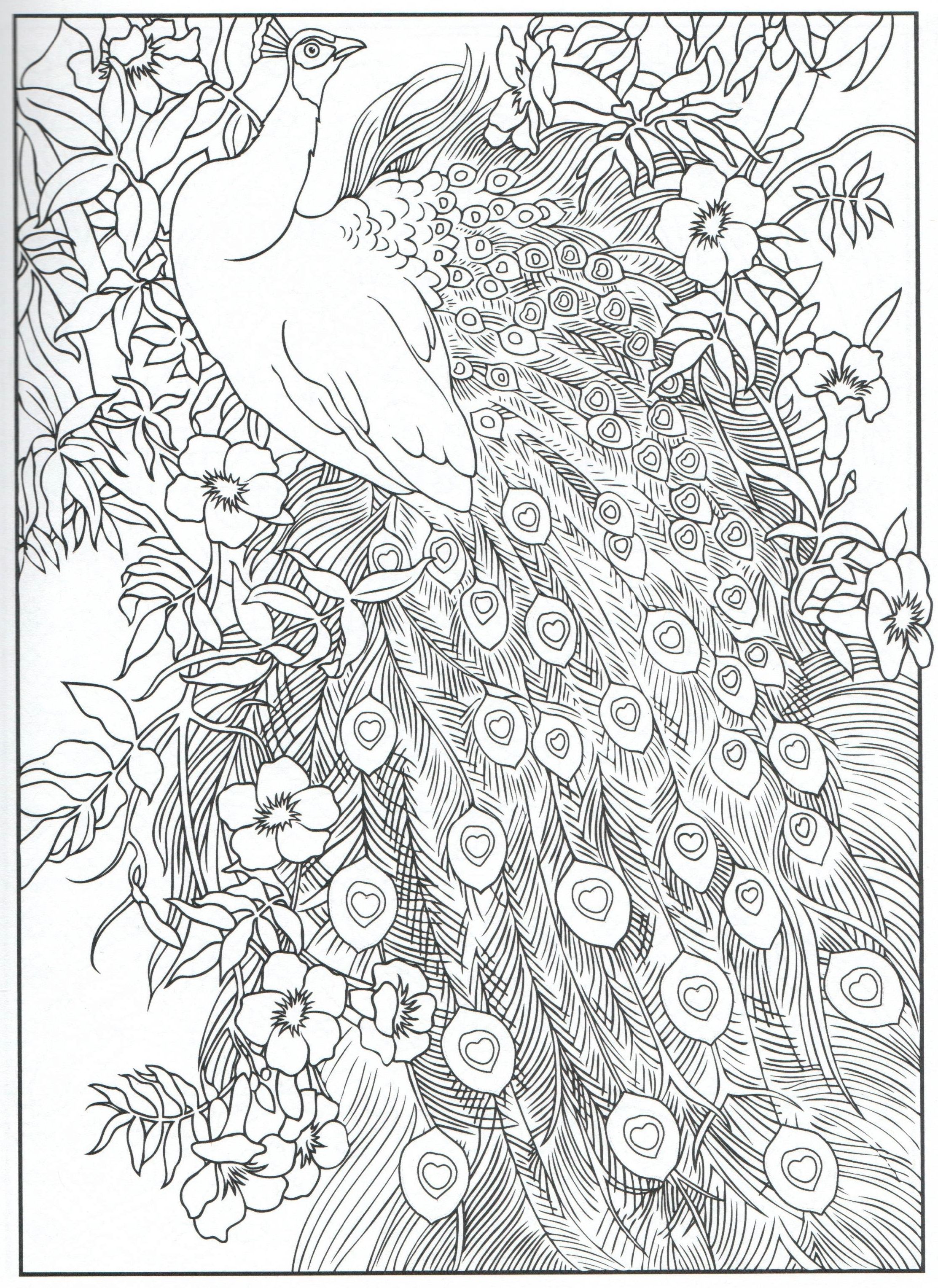 Peacock coloring page for adults peacock coloring pages designs coloring books mandala coloring pages