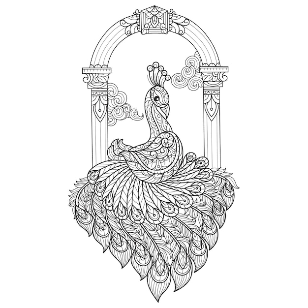 Premium vector peacock and window hand drawn sketch illustration for adult coloring book
