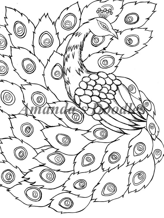 Peacock coloring page bird coloring page