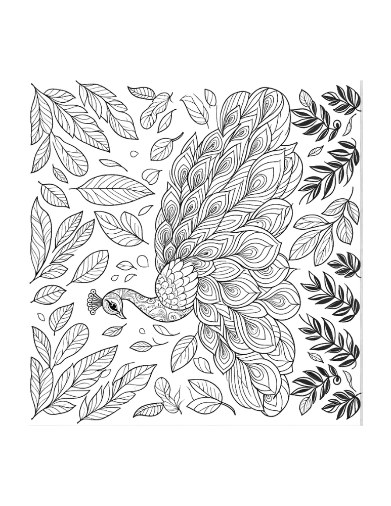 Free peacock coloring pages for kids