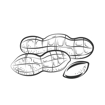 Page peanut butter logo