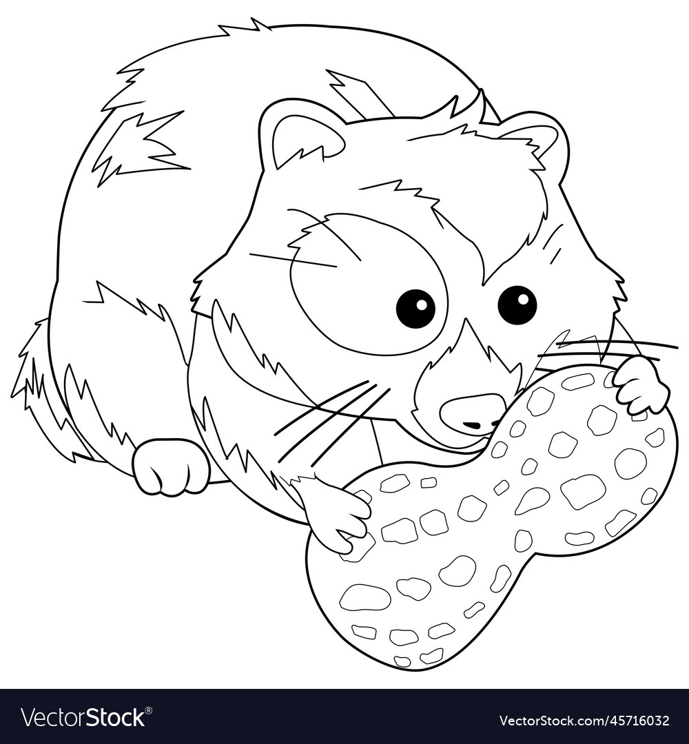 Hamster with peanut coloring page royalty free vector image