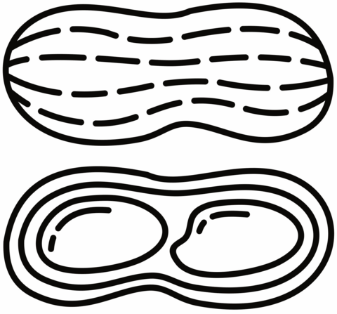 Peanut coloring page free printable coloring pages