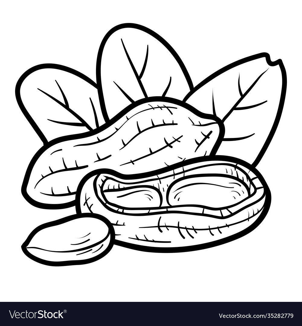 Coloring book peanut royalty free vector image