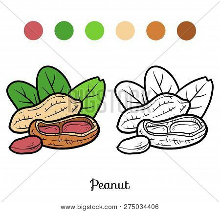 Coloring book vector photo free trial bigstock