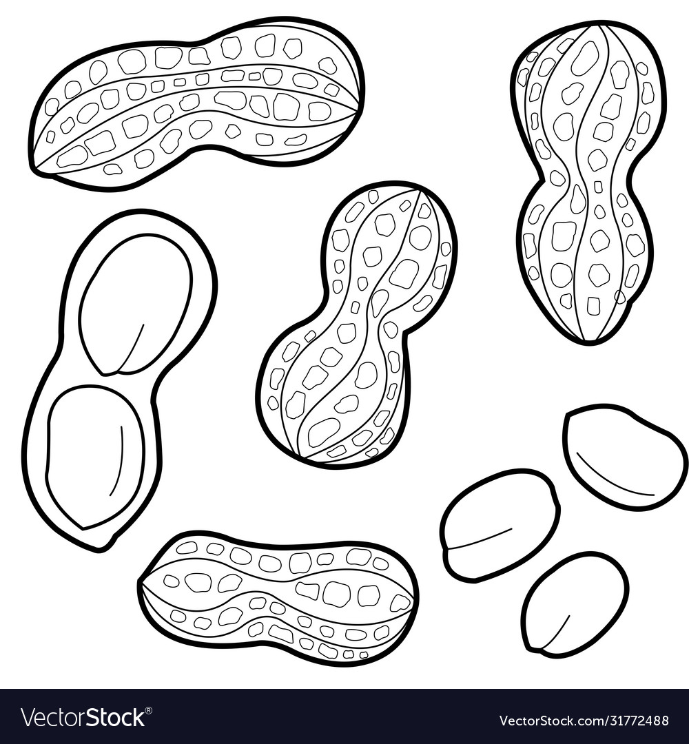 Peanuts black and white coloring page royalty free vector