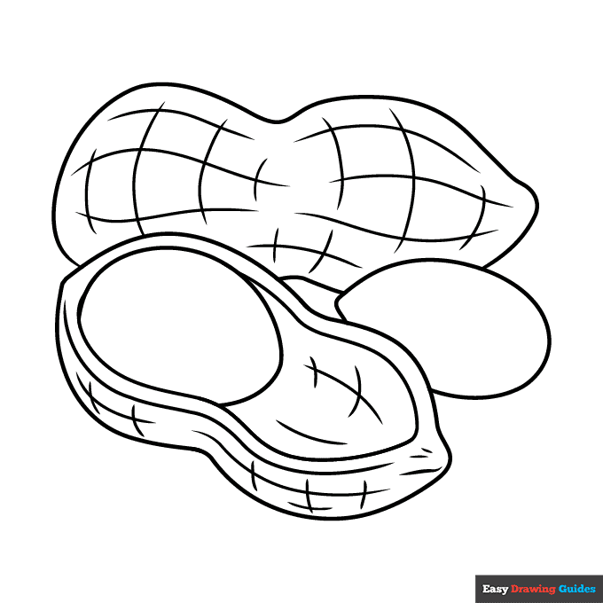 Peanut coloring page easy drawing guides