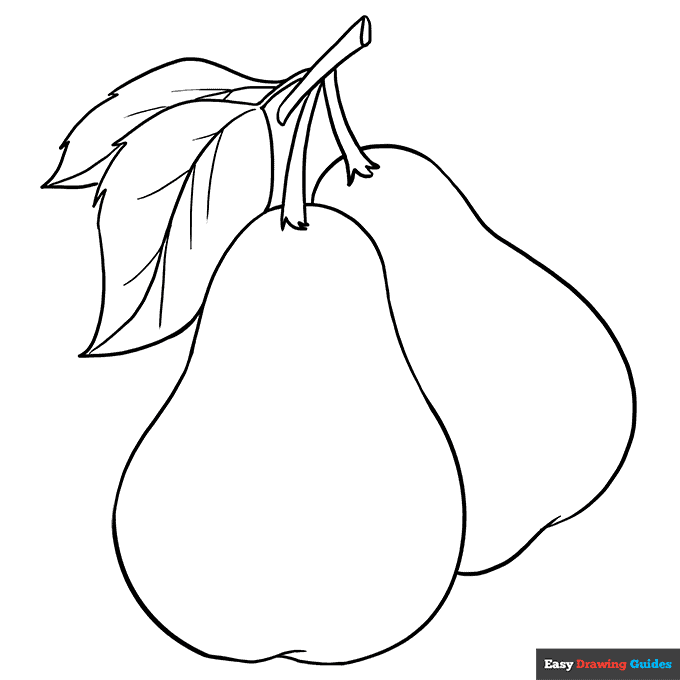 Pears coloring page easy drawing guides