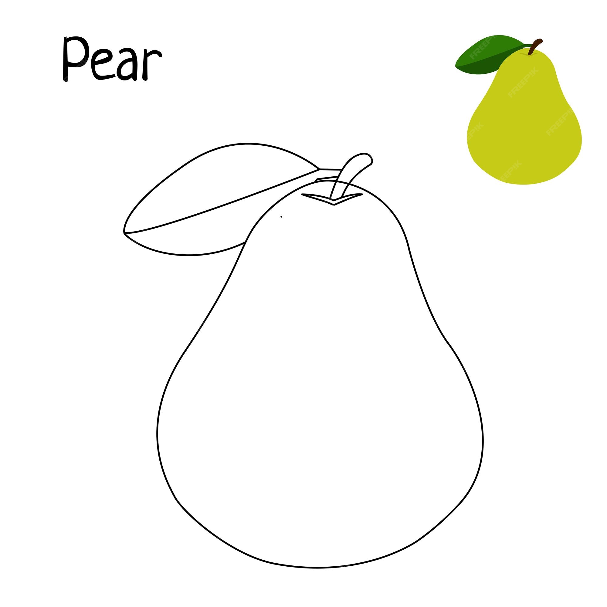 Premium vector pear coloring page