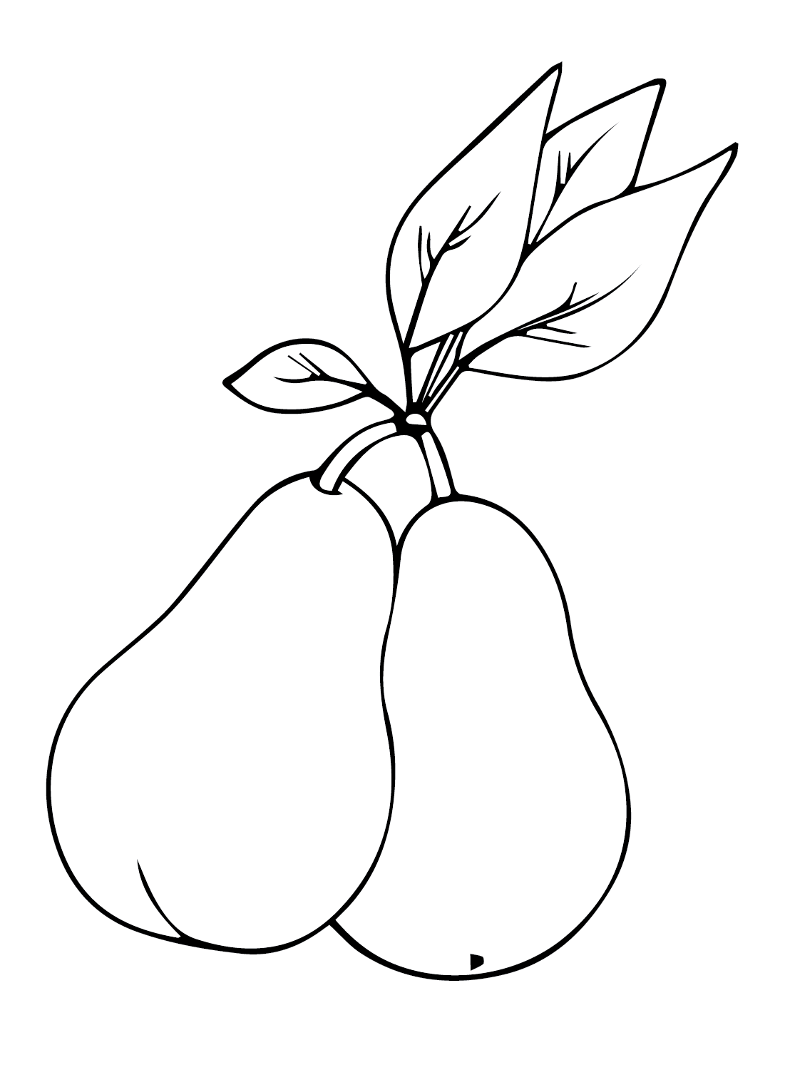 Pears coloring pages printable for free download