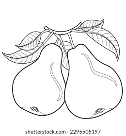 Pear outline vector illustration elements coloring stock vector royalty free