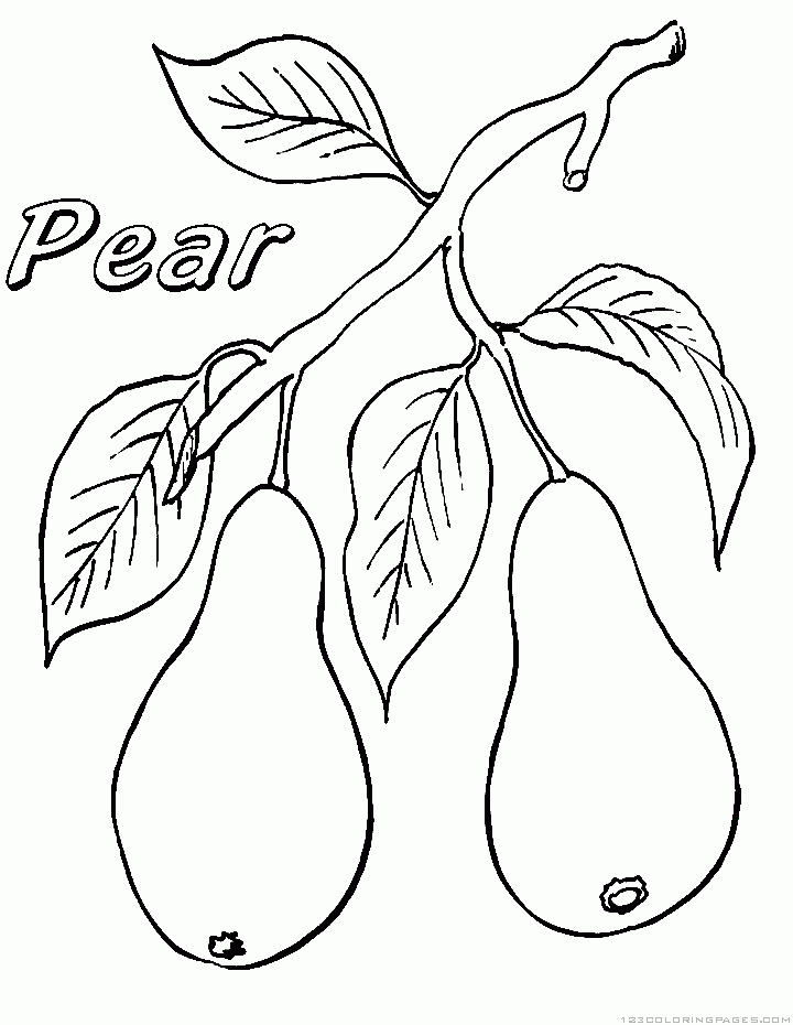 Pear coloring pages
