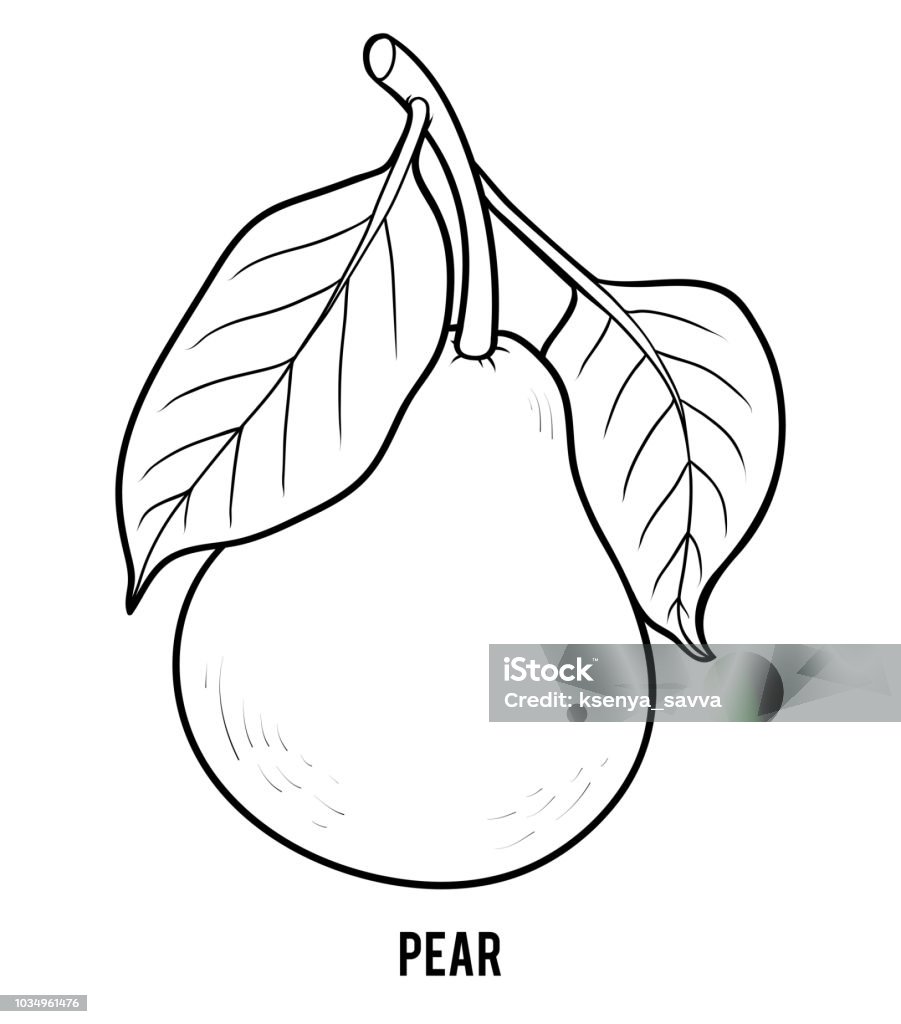 Coloring book pear stock illustration