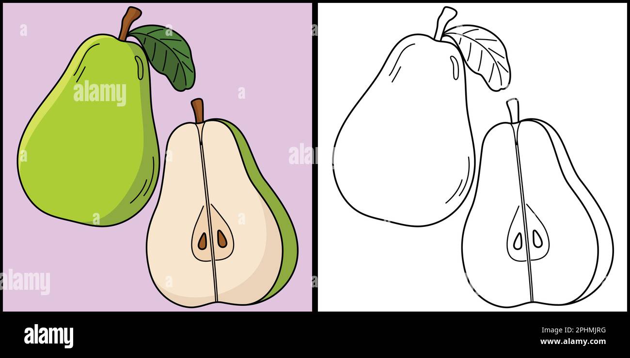 Pear fruit coloring page colored illustration stock vector image art