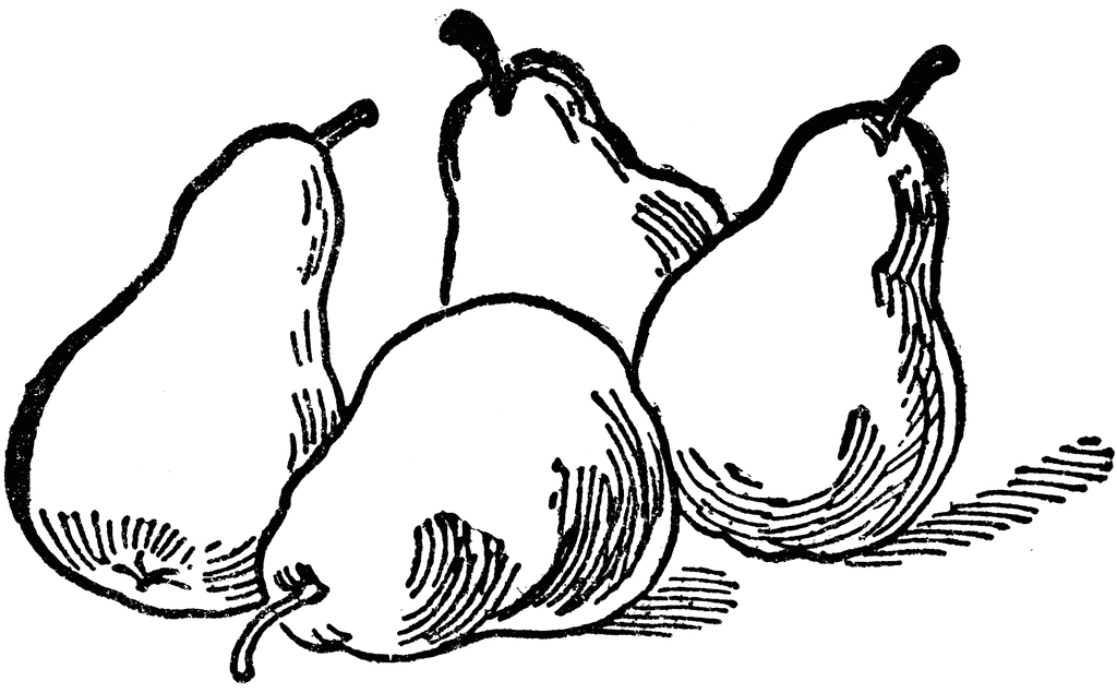 Pear coloring pages
