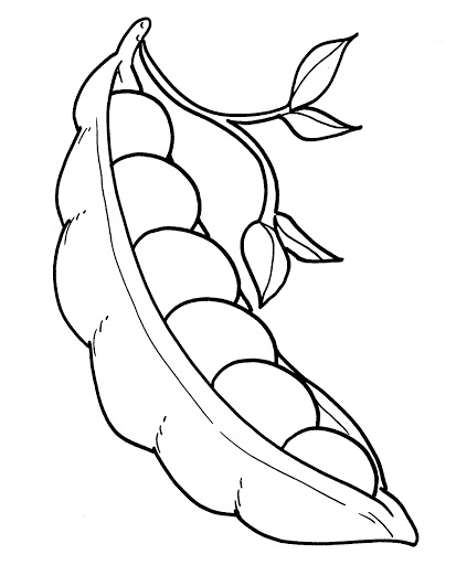 Coloring pages green peas vegetables coloring pages for kids