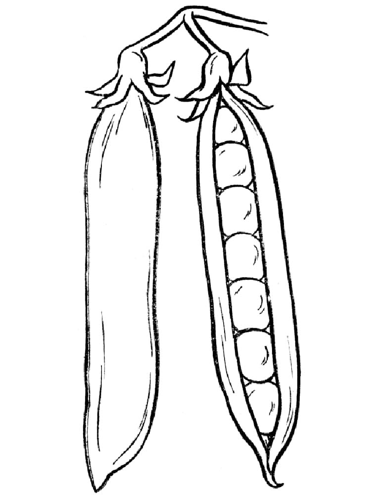 Peas coloring pages