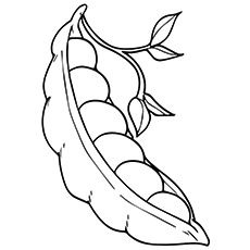 Top peas coloring pages for toddlers vegetable coloring pages fruit coloring pages coloring pages