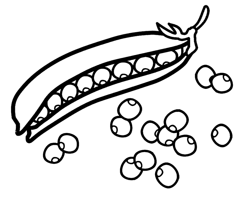 Mushroom coloring pages printable for free download