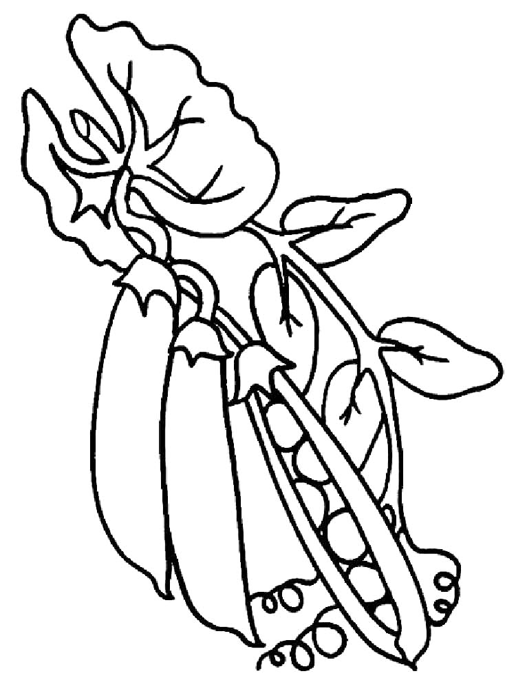 Peas coloring pages