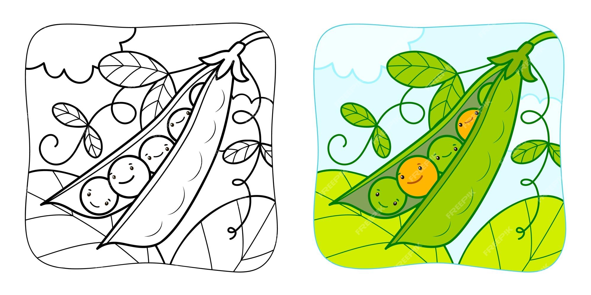 Premium vector coloring book or coloring page for kids peas vector clipart nature background