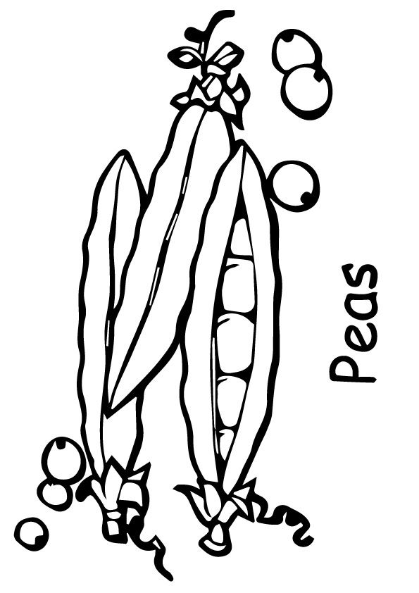 Â