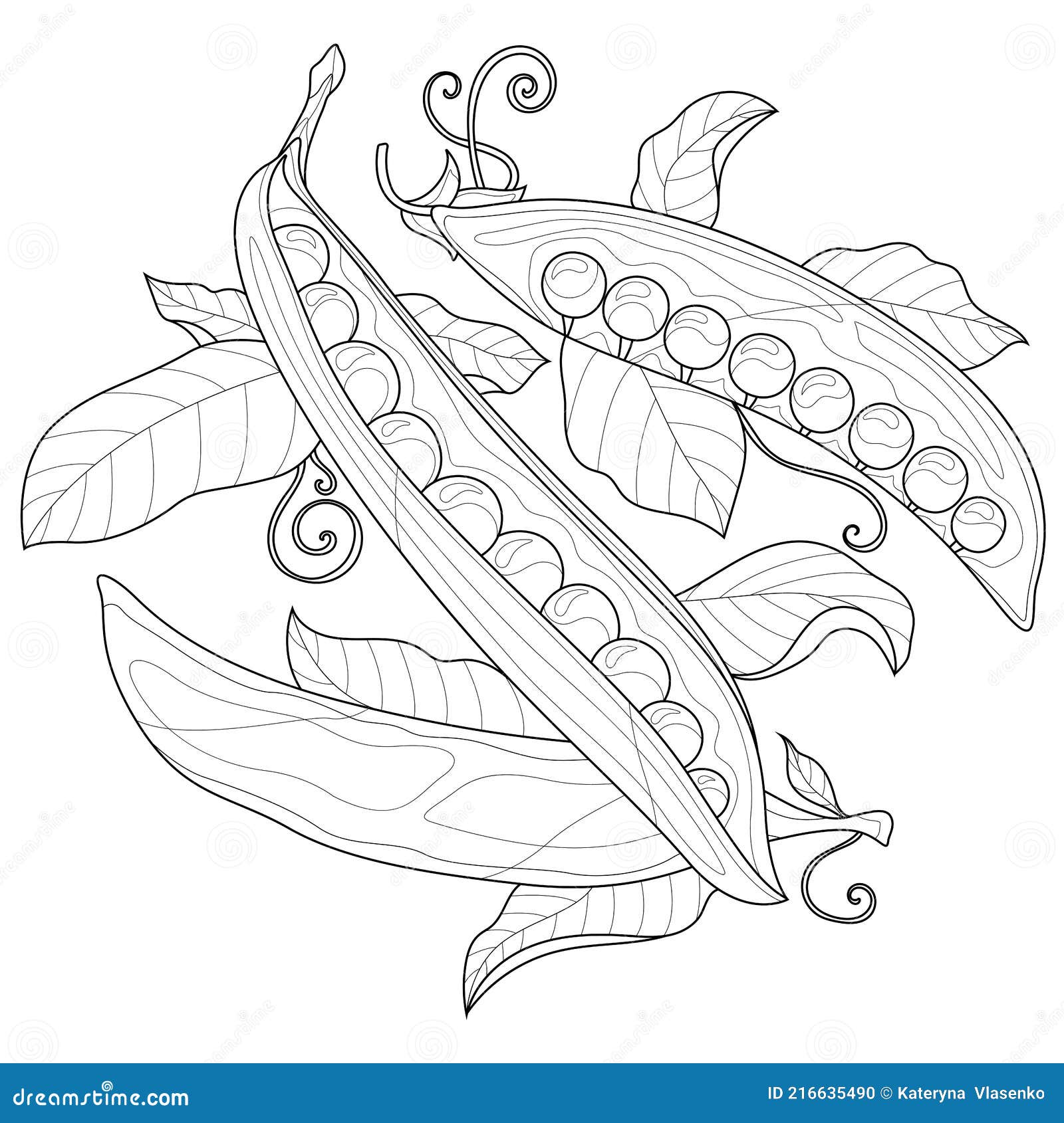 Peascoloring book antistress for children and adults stock vector