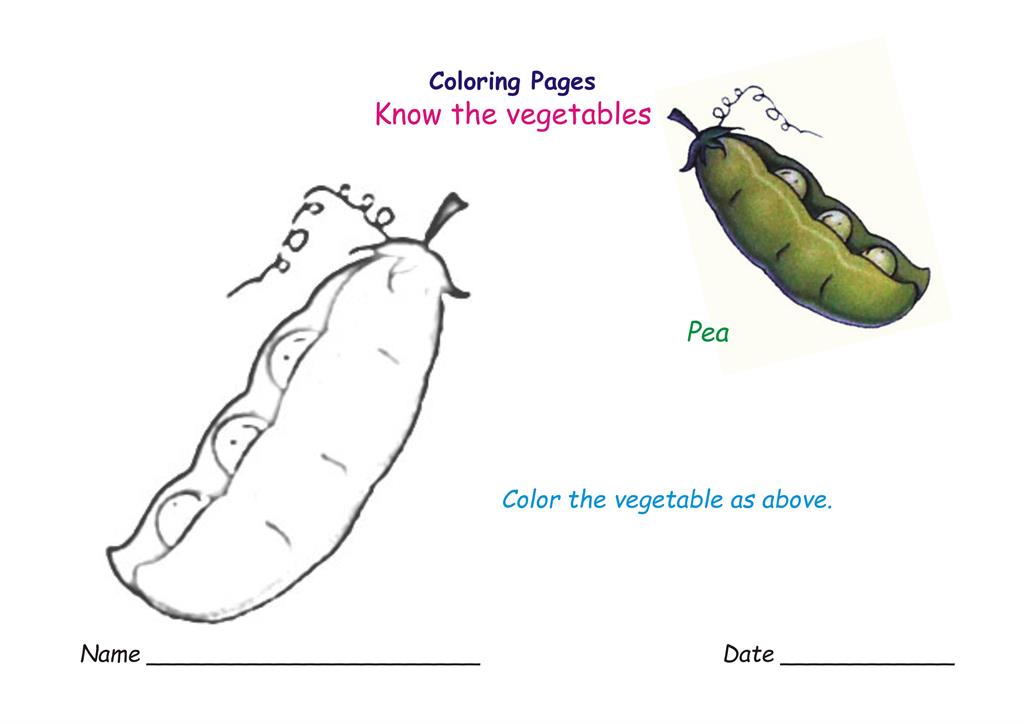 Vegetables coloring pages